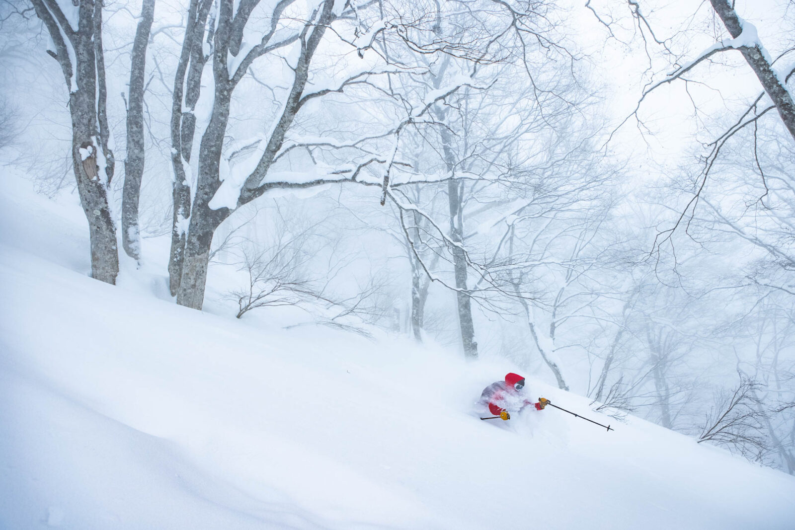 Line Skis Downdays Brand Guide