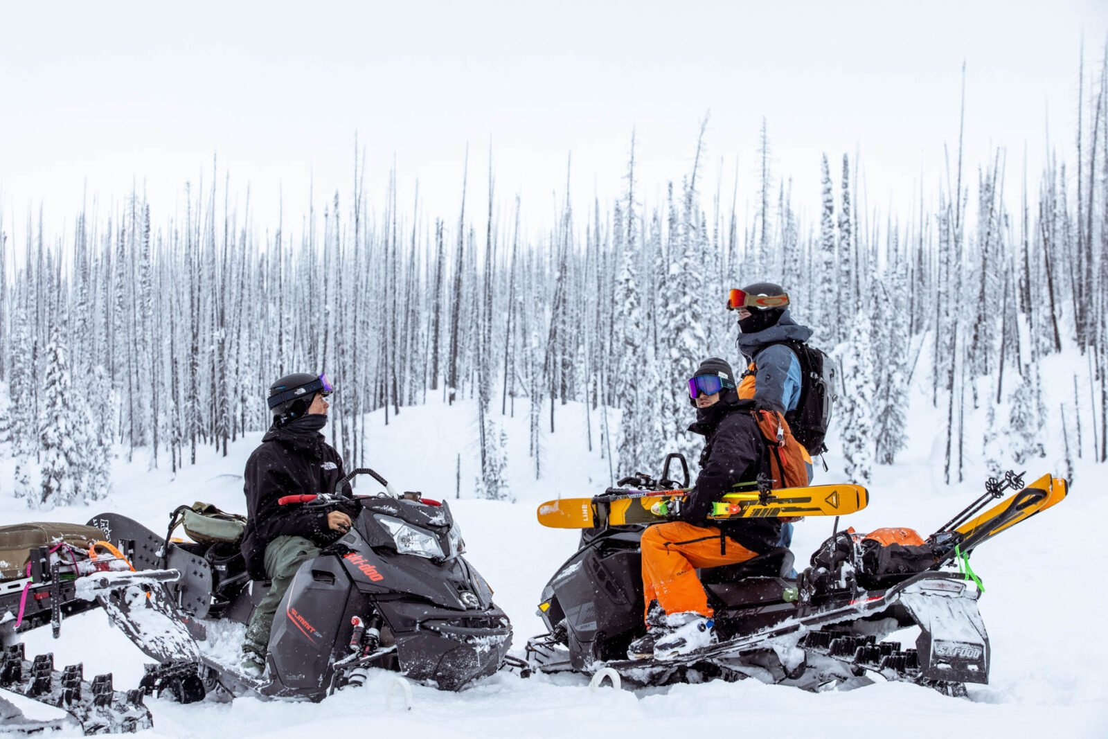 Line Skis Downdays Brand Guide