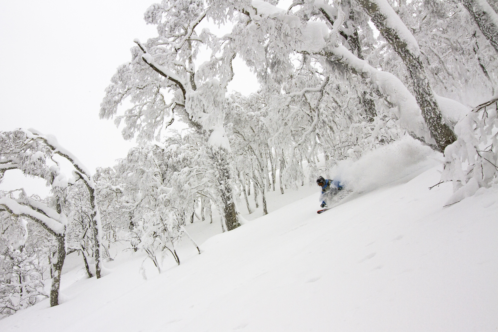 Mitchell Brower skis backcountry powder in Japan.