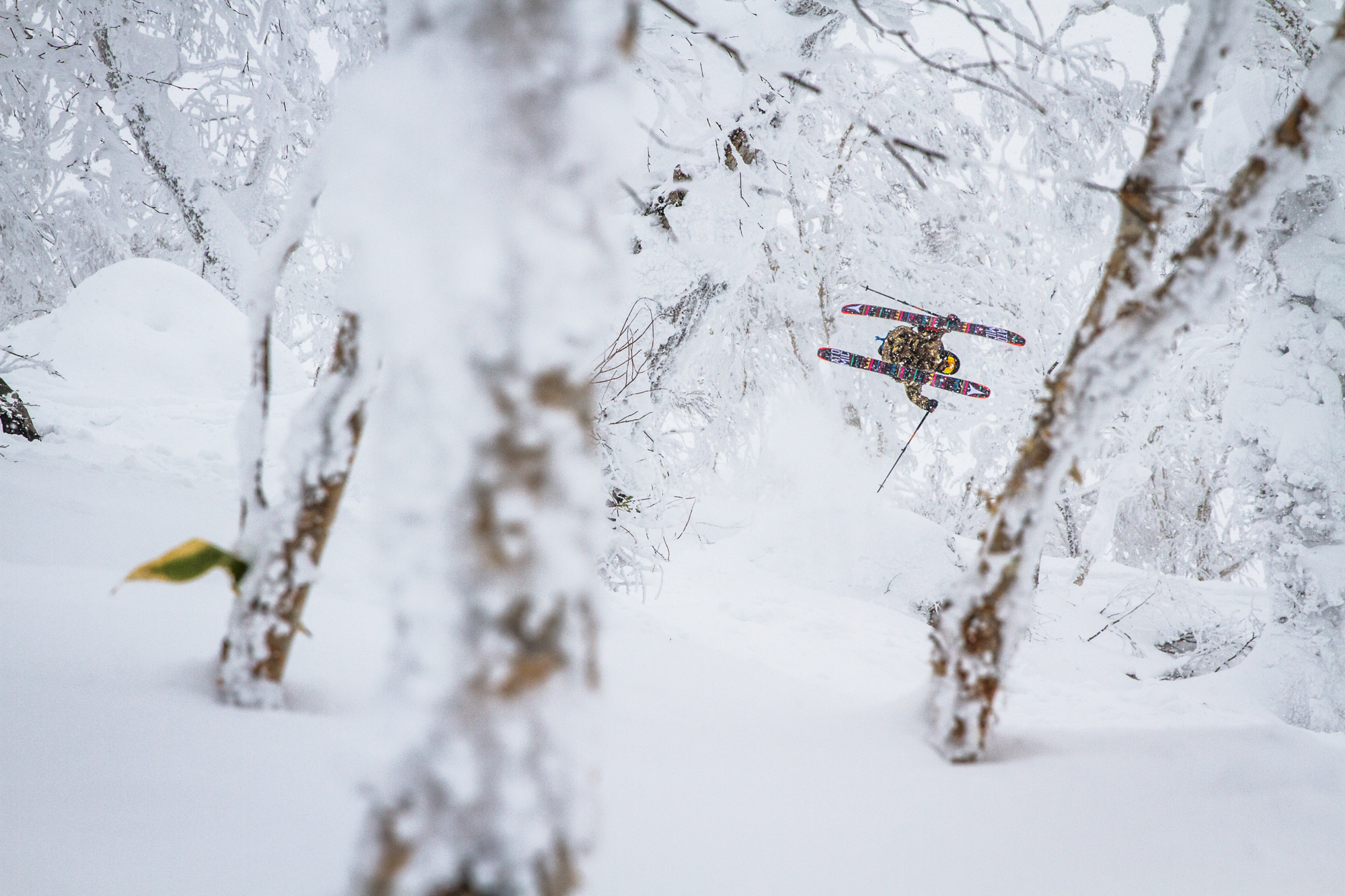 Nicky Keefer launches a cork 360 through the trees in Rusutsu, Japan.