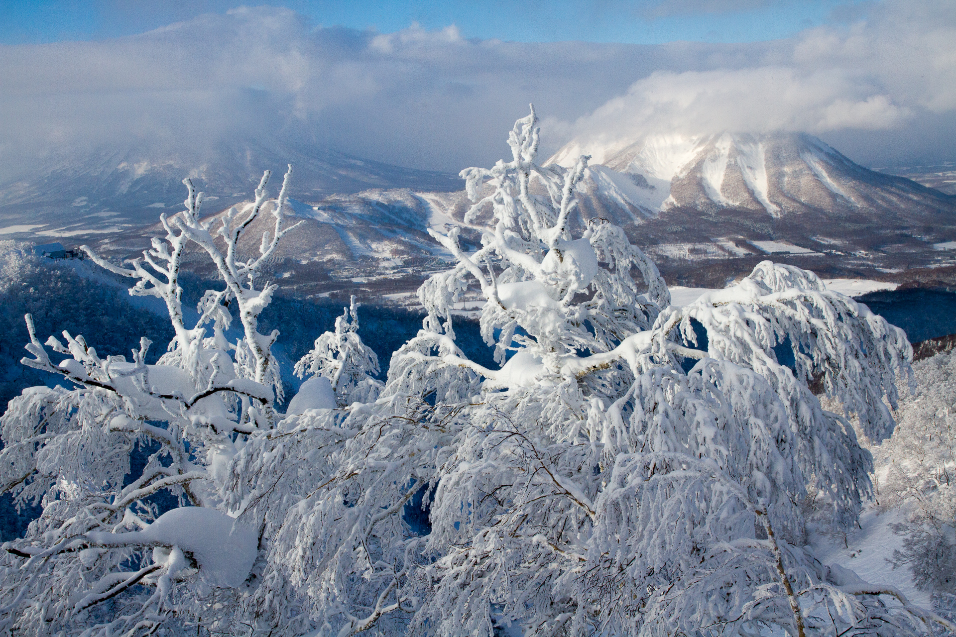 A winter landscape in Rusutsu, Japan.