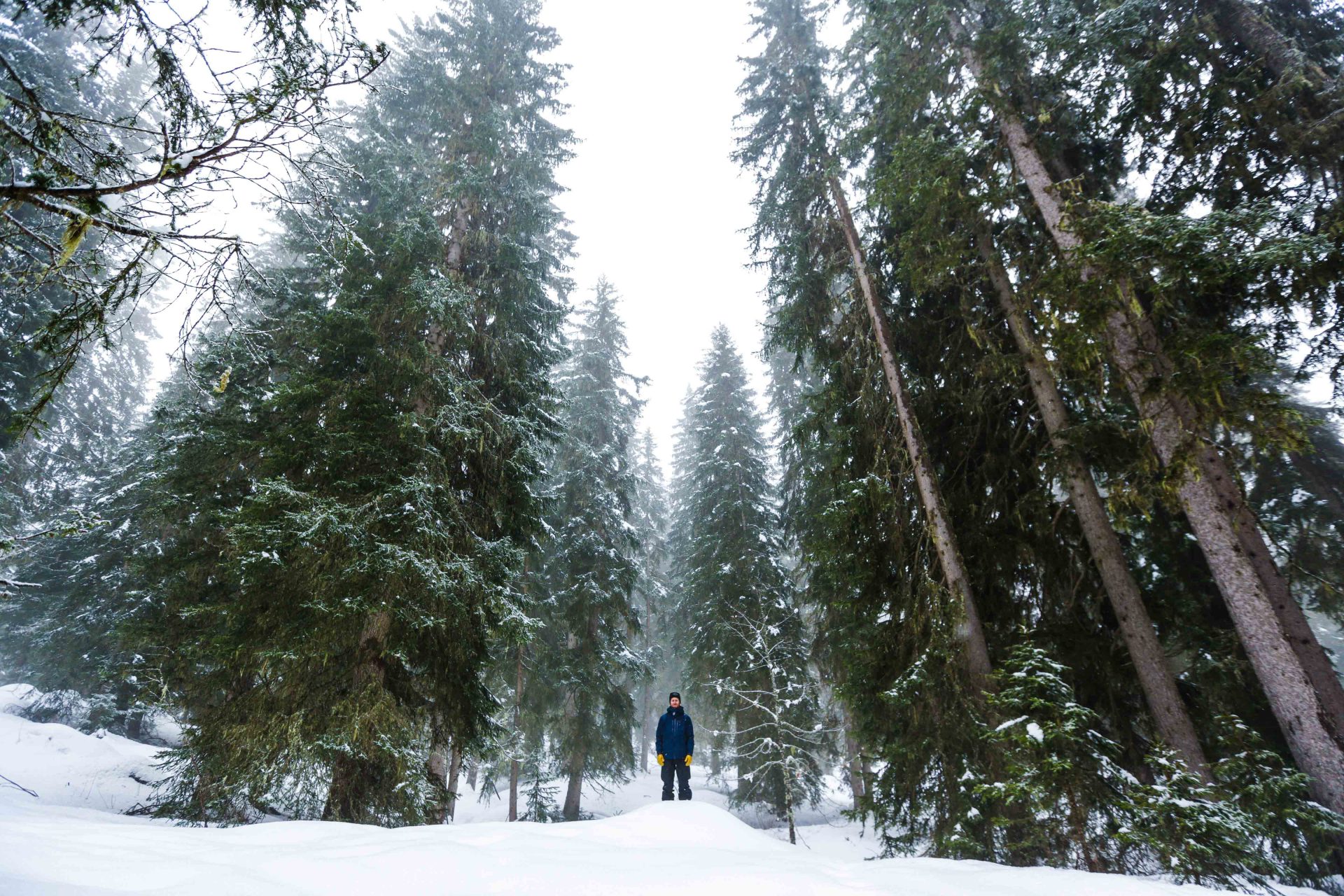 Really a story about freeskiing by Jeremy Prevost and Mazcor