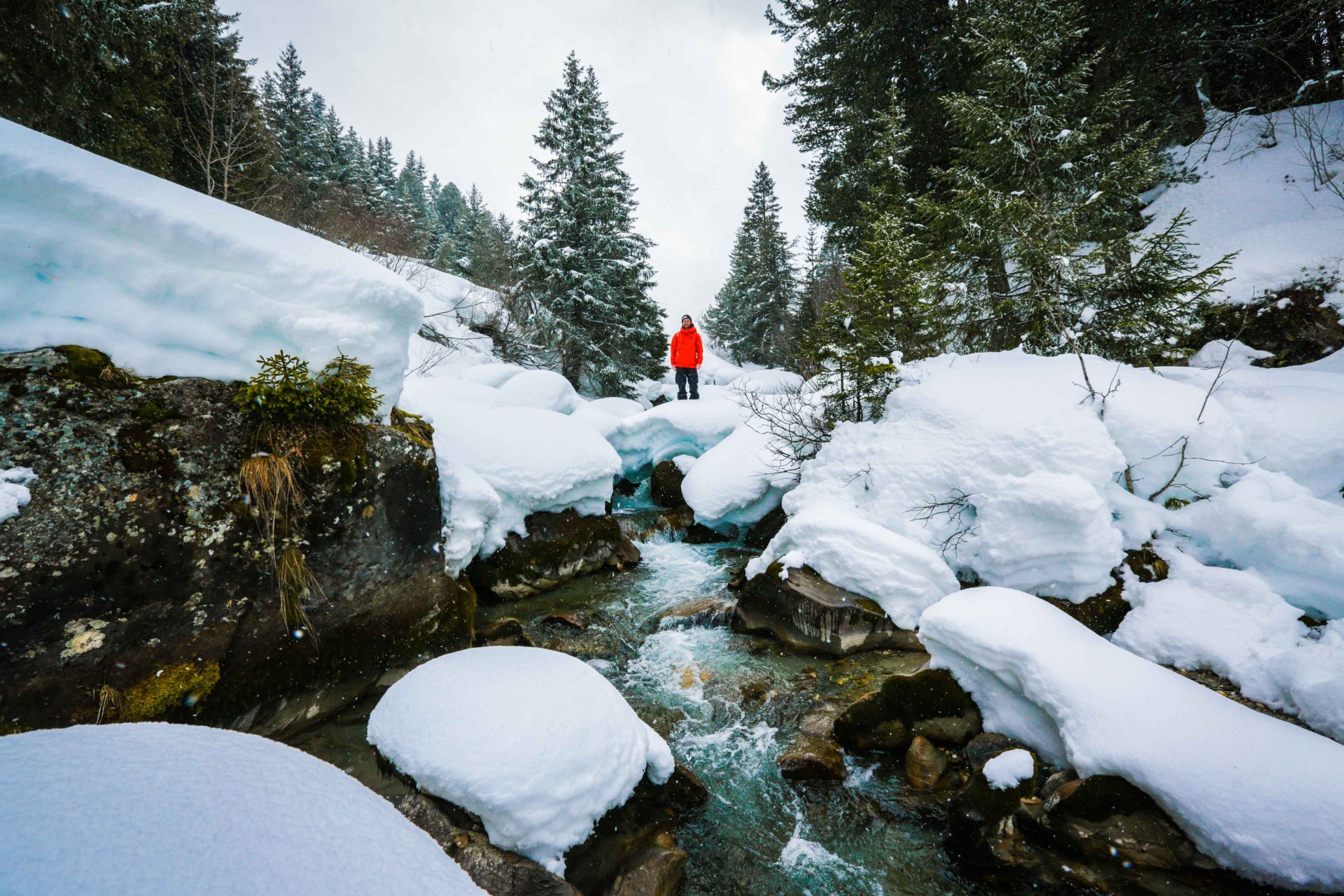 Really a story about freeskiing by Jeremy Prevost and Mazcor