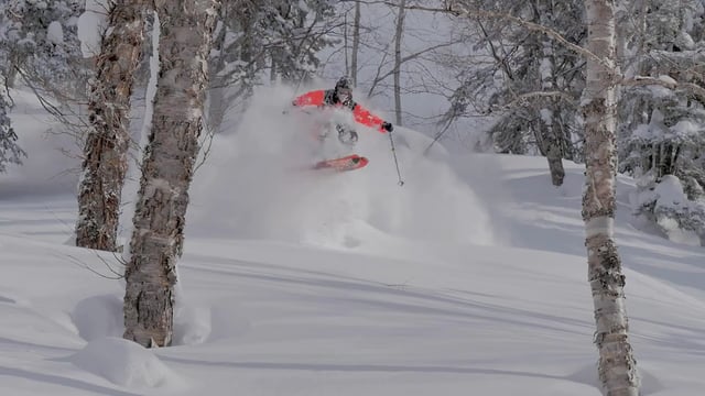 Dreamy Days | Basti Färber Thumbnail