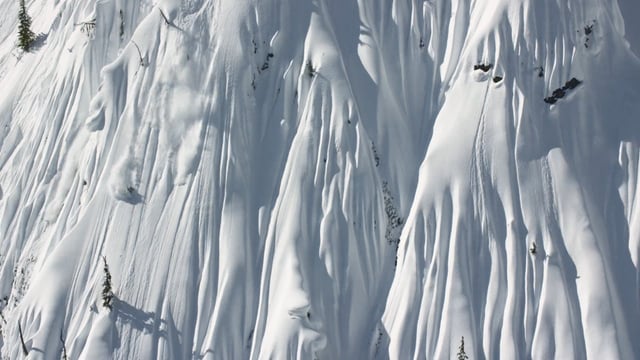 An Hour With A Bird In The Gold Mine;; Todd Ligare Thumbnail