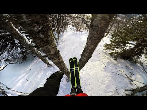 Watch Jesper Tjäder take his Go Pro for a spin through an old forest in Are, Sweden.