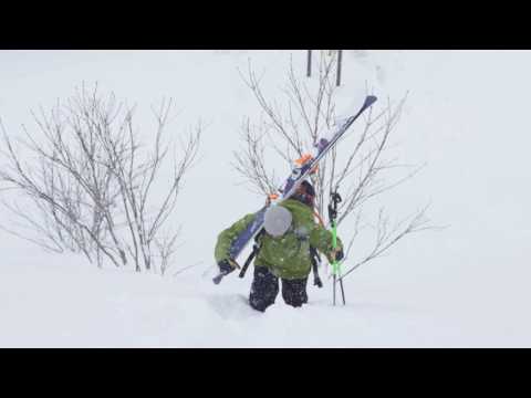 Japan has been pretty dry this season, but a van and some powder hunting never hurt anybody