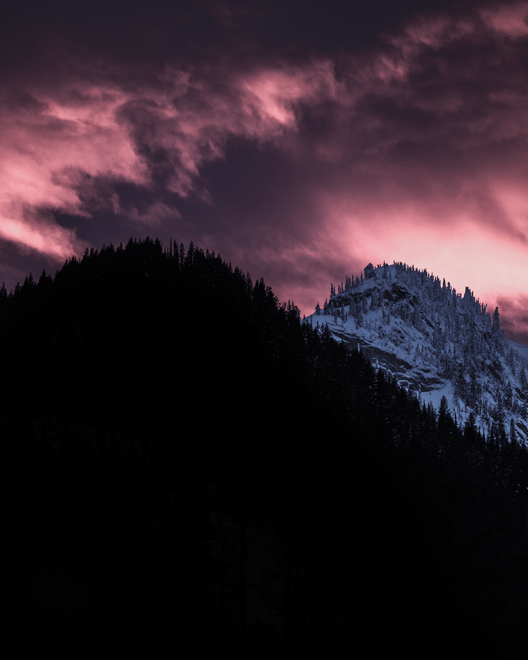 Scenic Photo by Alric Ljunghager from The Bunch feature, Downdays Magazine Winter 2018