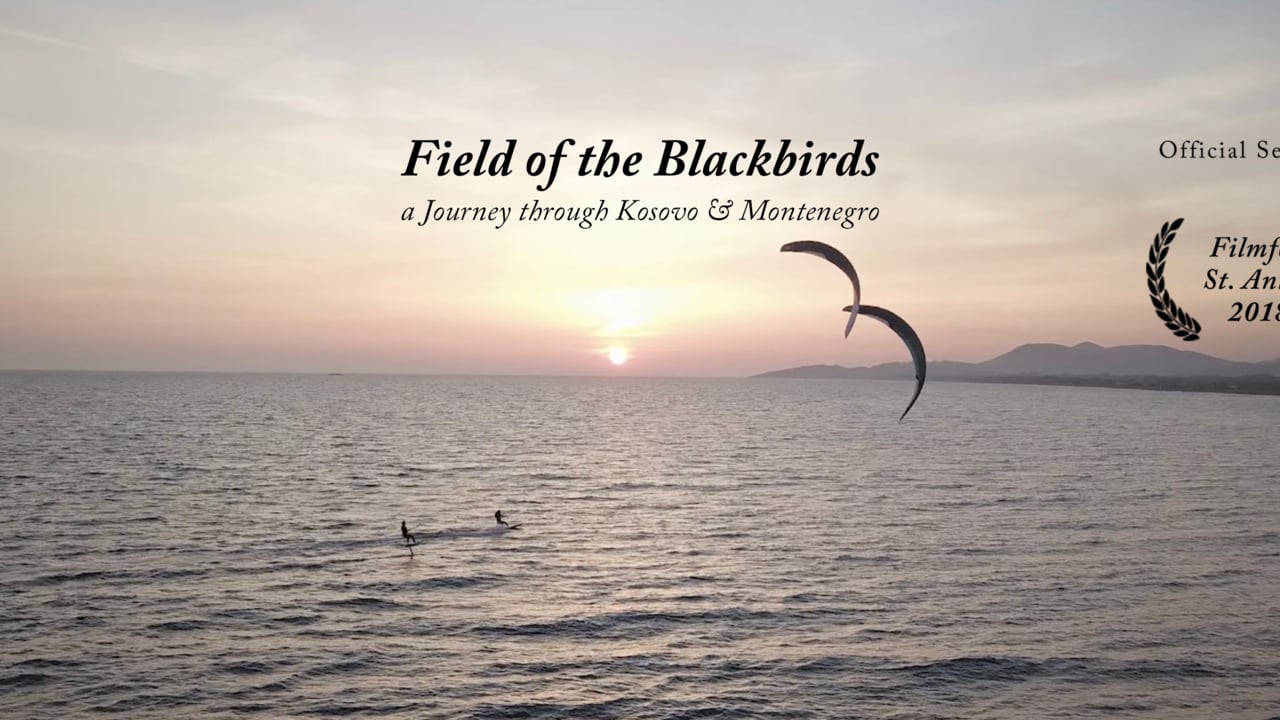 field of the blackbirds