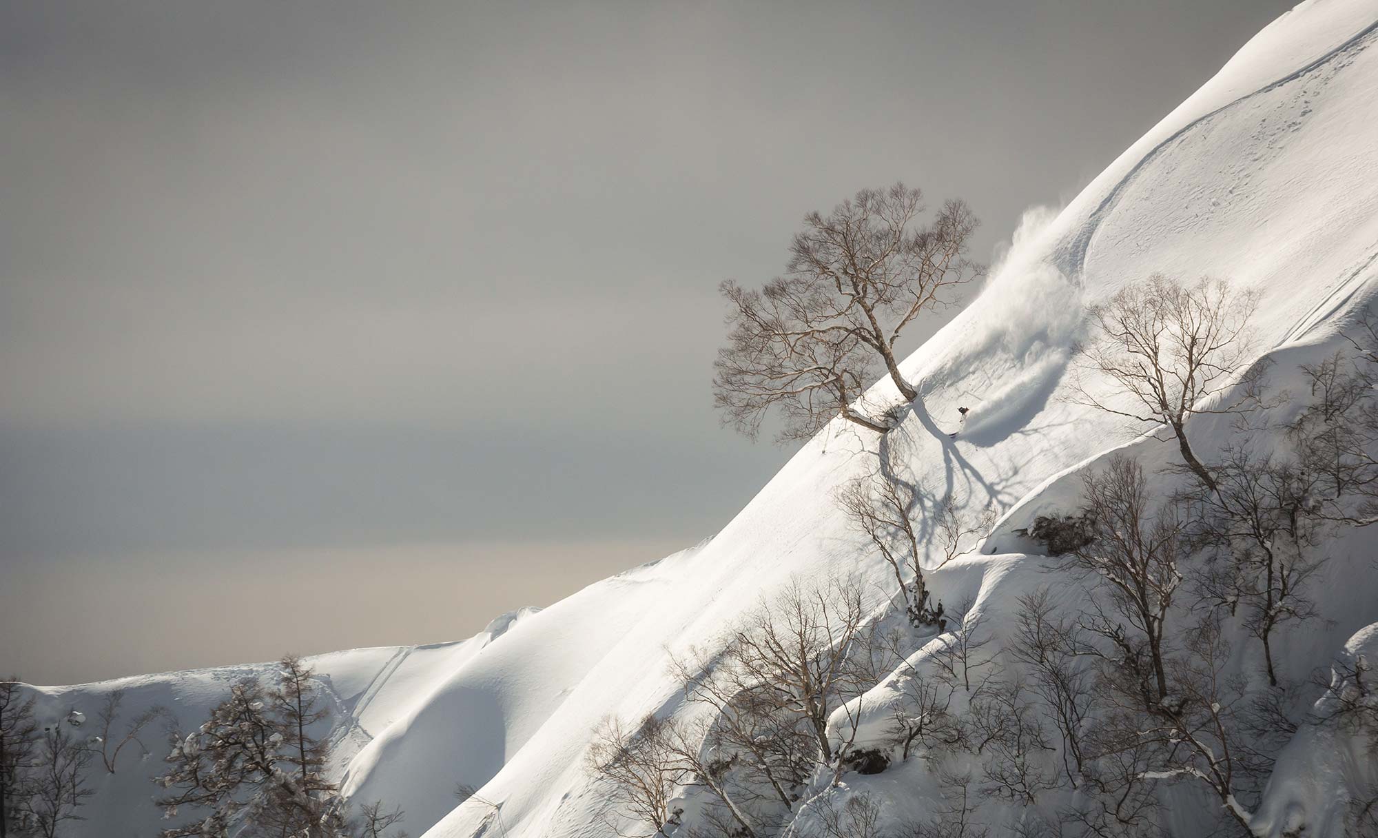 Arianna Tricomi in Hakuba, Japan