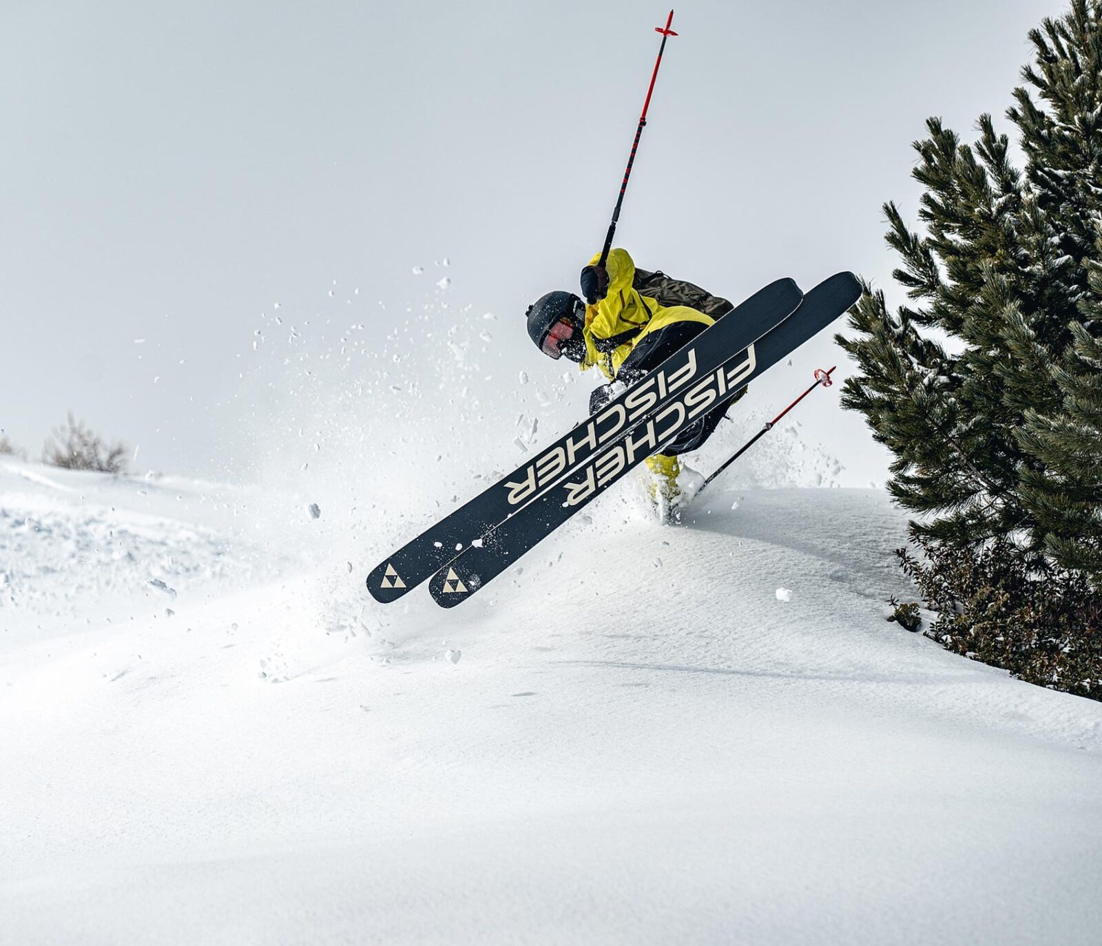 Downdays Brand Guide Fischer Skis Header