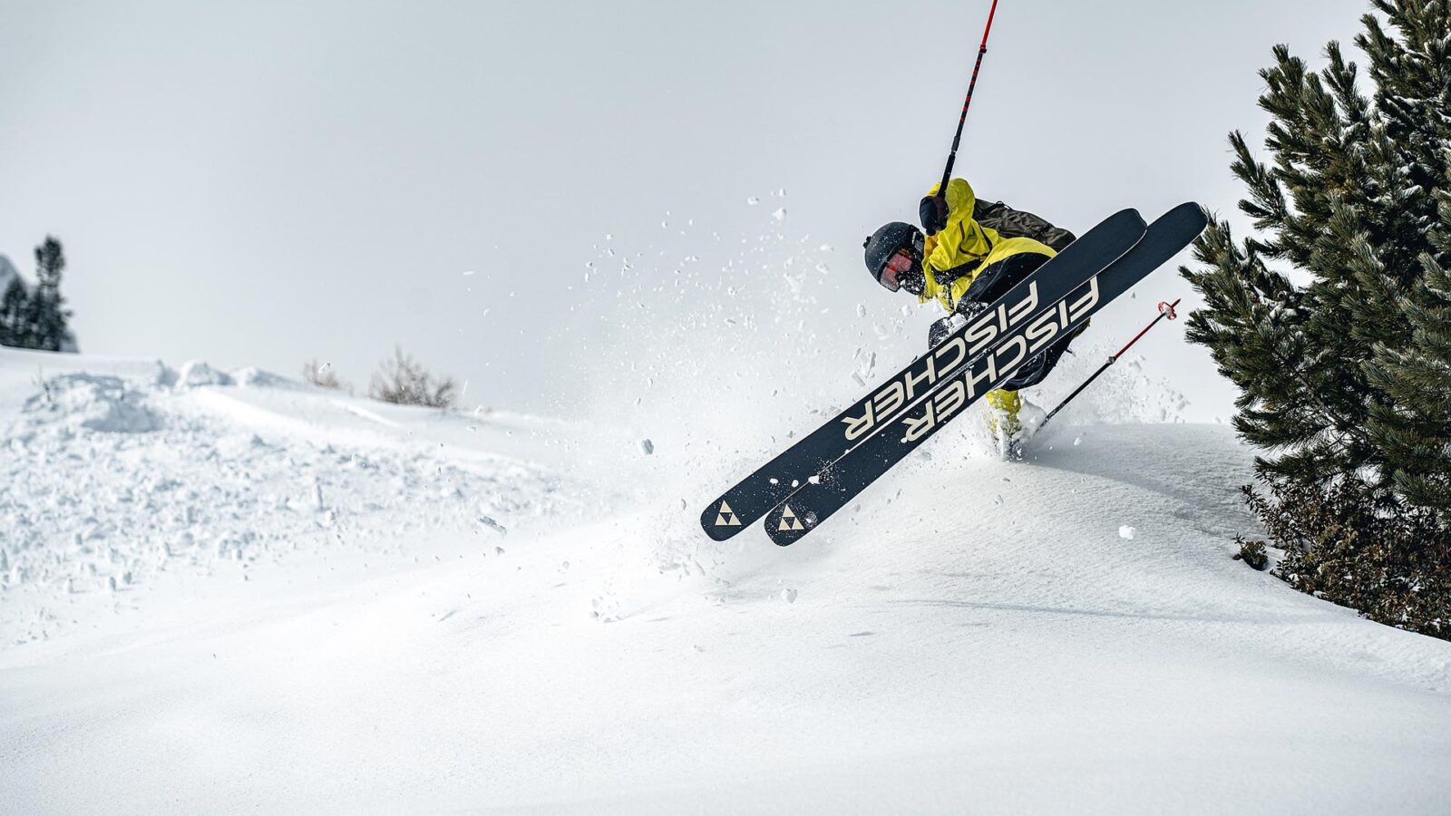 Fischer Skis Downdays Brand Guide