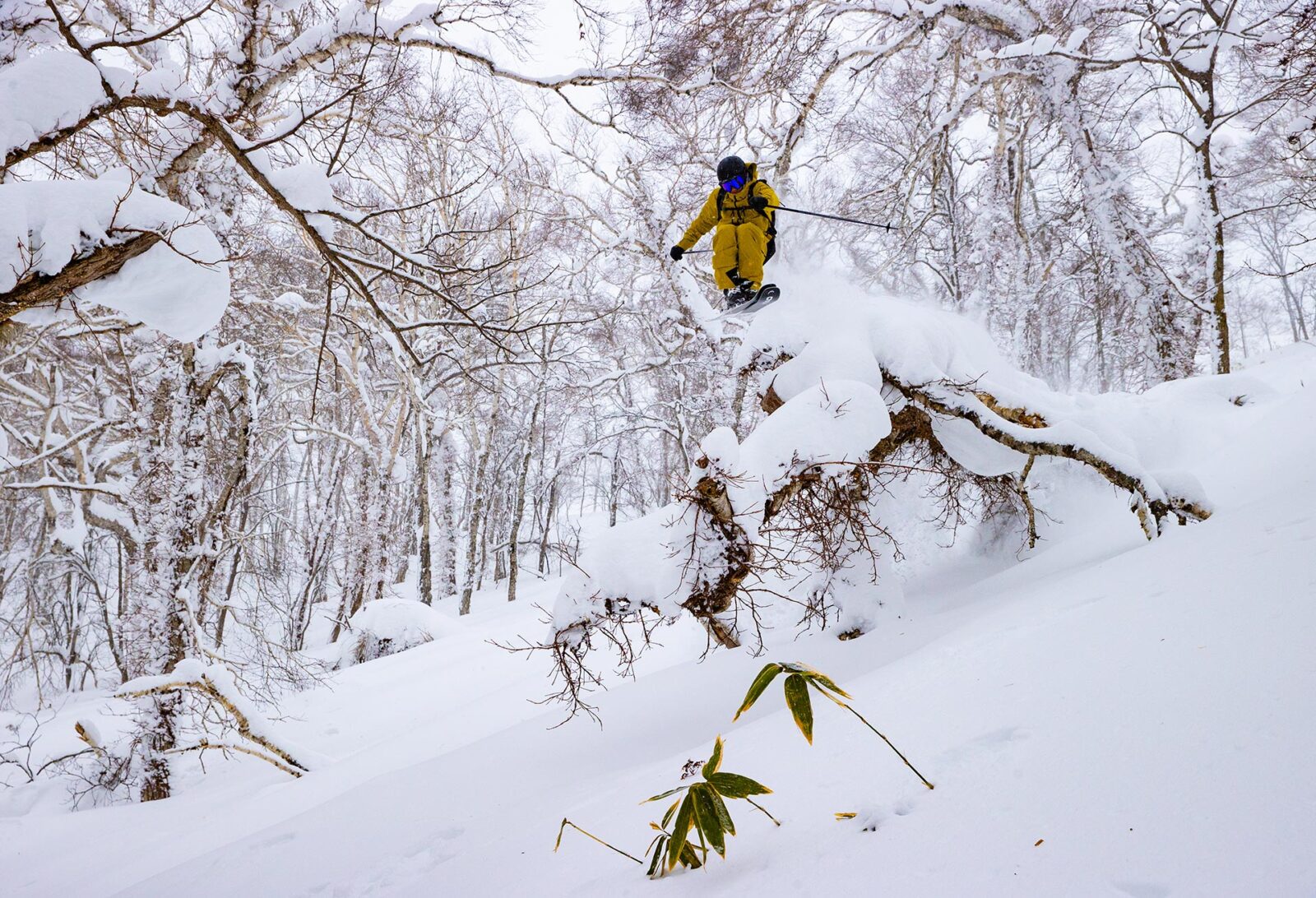 HEAD Skis Downdays Brand Guide 2024/25