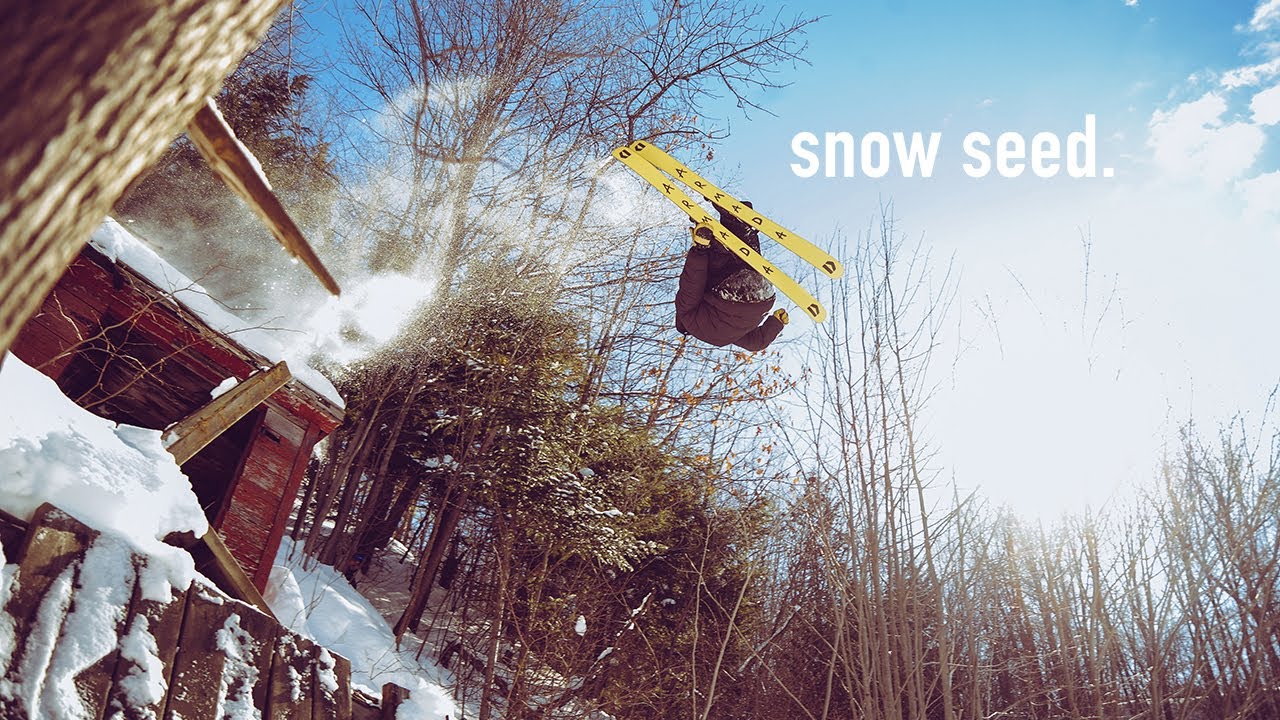 Phil Casabon Snow Seed