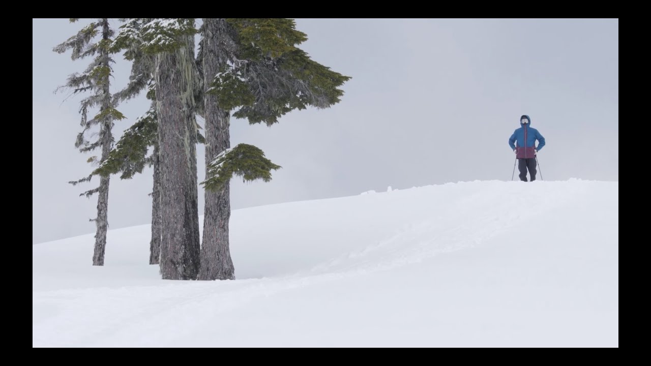 jonah williams life n stuff