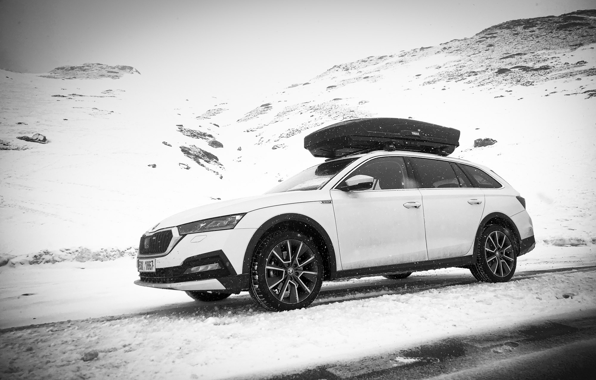 Škoda Octavia Scout: The Skier's Car for Europe?