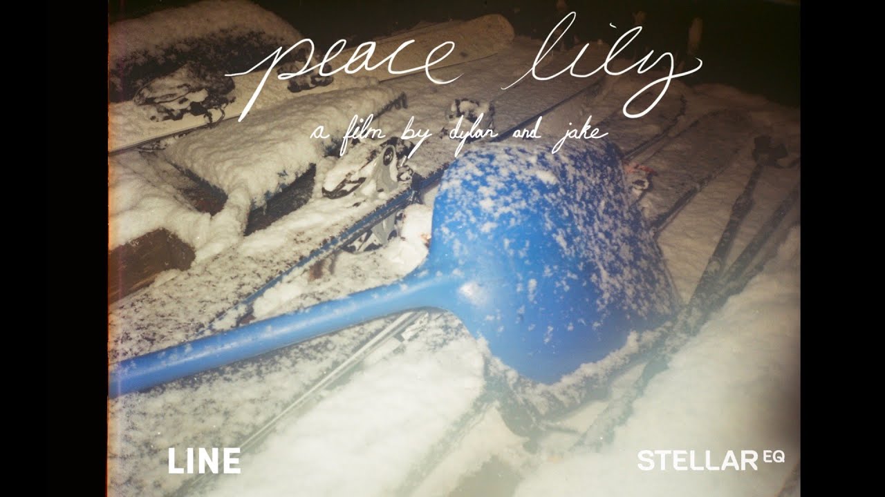 peace lily dylan siggers