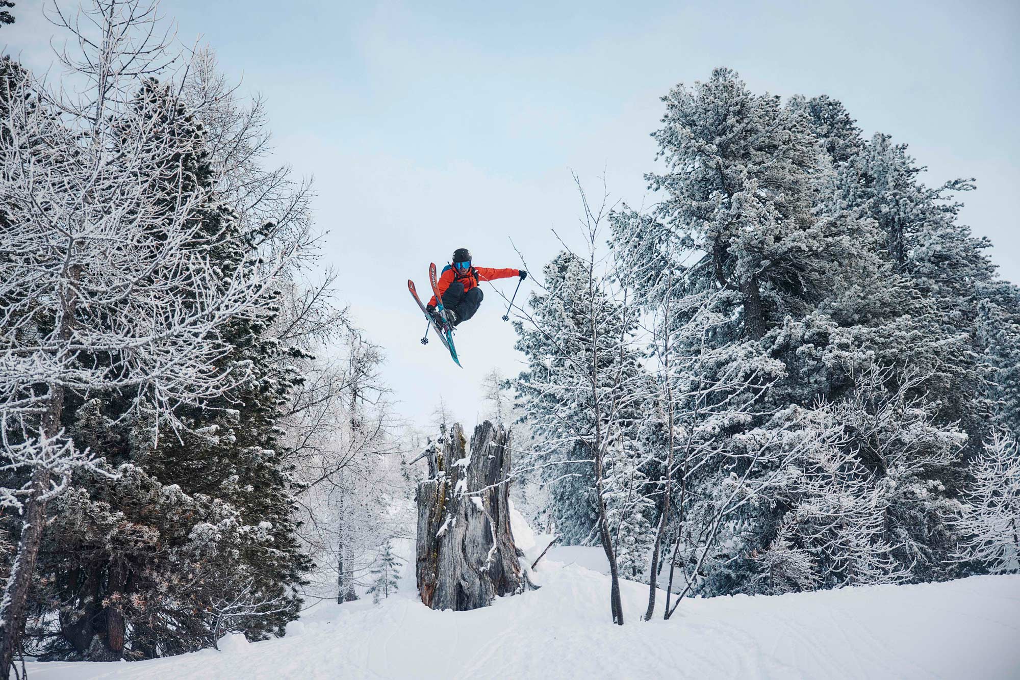 Peak performance deals forest night