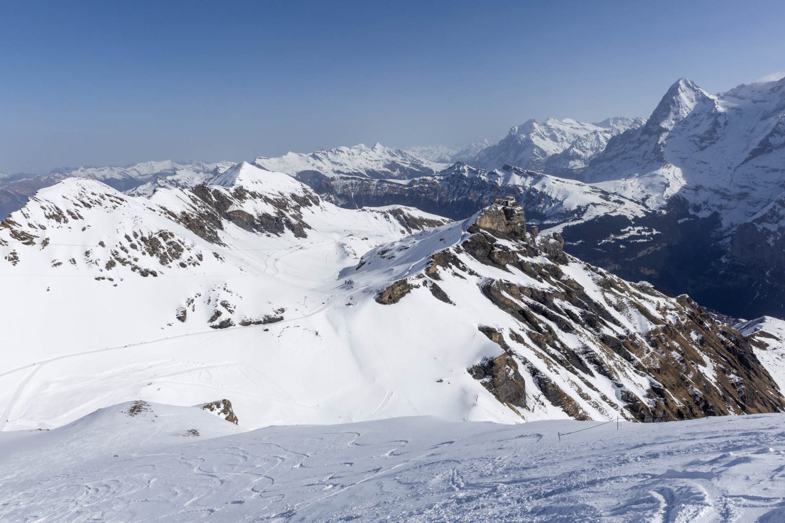 Schilthorn Spot Check Downdays