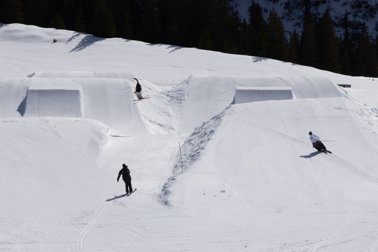 Schilthorn Skyline Park Downdays Spot Check