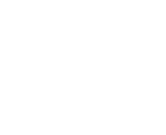 Phaenom logo