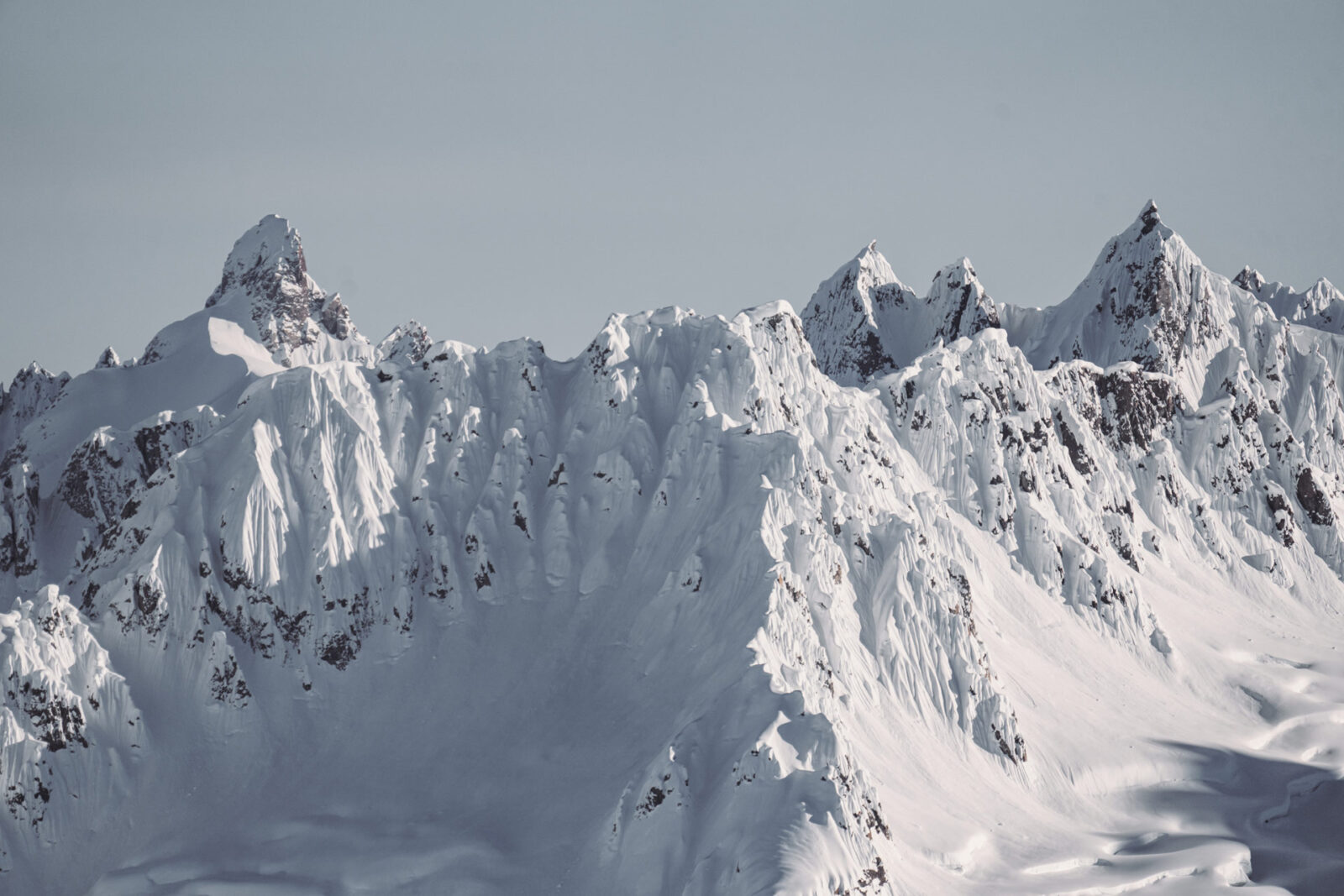 Natural Selection Ski 2025