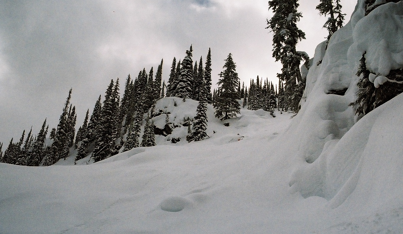 The Seven Run Day: Eagle Pass Heli Ski | Downdays
